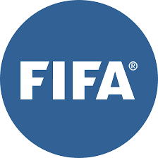 Fédération internationale de football association : Histoire et Rôle