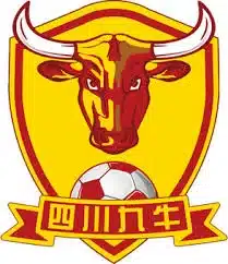 Sichuan Jiuniu fc city football group filiales